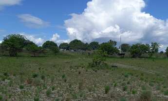Imagem: Vende uma Excelente área rural