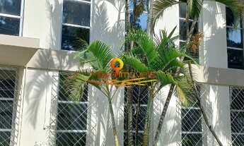 Imagem 3: Excelente galpão