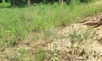 Imagem 7: Joanopolis - Chácara - Joanopolis