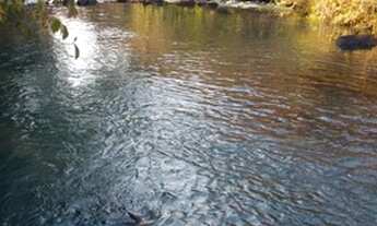 Imagem: Fazenda 193 Hectares Região De Carneirinho/MG