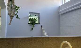 Imagem 3: VILA SCARPELLI - APARTAMENTO SEM CONDOMÍNIO