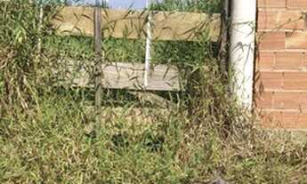 Imagem 2: Terreno na rua 52 abaixo da Av. 2