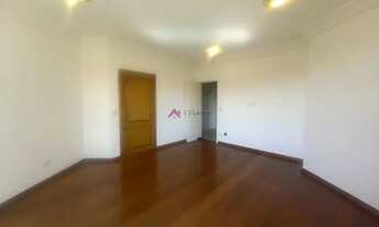 Imagem 3: Excelente Planta