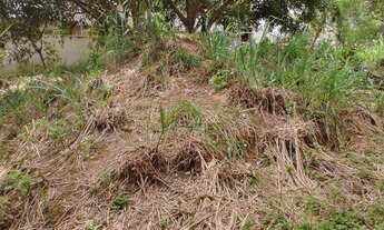 Imagem 7: Lote no Bairro Cidade Nova, Cód. L094. Avenida Princ. Perto Hipermercado Garcia. Região de