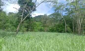 Imagem 6: Terra Rural com cachoeira e igarapé, otima para balneário e plantação