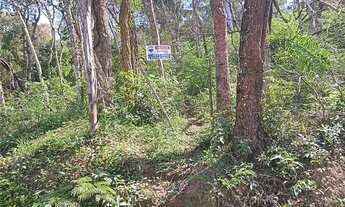 Imagem 3: Chácara à venda, 3.600 m² - Chácara Nova Essen - Campo Limpo Paulista/SP Venha aproveitar