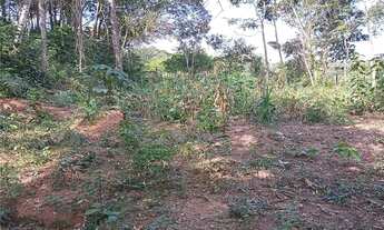 Imagem 2: Chácara à venda, 3.600 m² - Chácara Nova Essen - Campo Limpo Paulista/SP Venha aproveitar