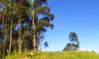 Imagem 3: Terreno rural com ótima localização