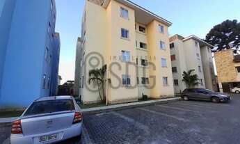 Imagem 2: Apartamentos - Locação - Weissópolis - Cod. 374