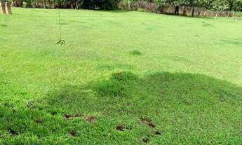 Imagem 5: Jt- Terreno com ótima topografia