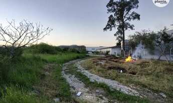 Imagem 6: Terreno à venda no Bairro Ipiranga, São José,com