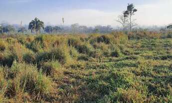 Imagem 5: Chácara /sítio