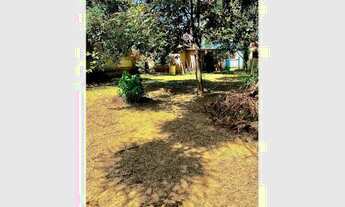 Imagem 4: TERRENO NO CENTRO DE PASSO FUNDO