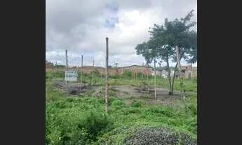 Imagem 2: Terreno na Gabriela