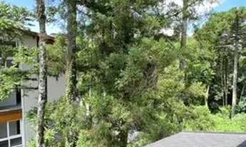 Imagem 3: Apartamento para Venda em Canela, Santa Terezinha, 1 dormitório, 1 suíte, 2 banheiros, 1 v