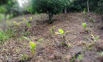 Imagem 4: Sítio, vendo e troco