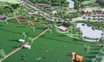 Imagem 5: Lote Barao do Imperio Santa Leopoldina