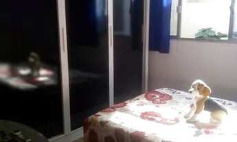 Imagem 7: Òtima casa em Realengo com 2 dormitórios