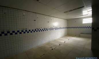 Imagem 4: CASA TÉRREA - PARAÍSO - SP