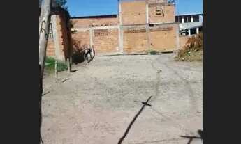 Imagem 2: Vendo Terreno no 2* Distrito de Cabo Frio 10x25 250m2