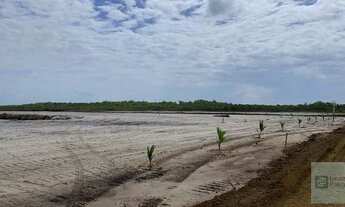 Imagem 7: Lote/Terreno para venda com 1000 metros quadrados em Barra Grande - Maraú - BA