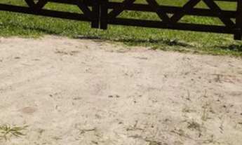 Imagem 4: Vendo linda chácara 2.000metros pronta p construir plaino