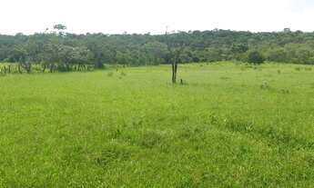 Imagem 4: Oportunidade! Vendo excelente fazenda com 78 hectares a 10 km Planaltina DF