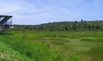 Imagem 2: Terreno para Venda em Camaçari, jauá