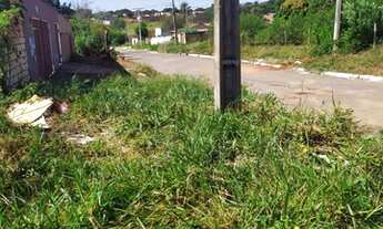 Imagem 4: Lote 12 x 30 metros - Vila Oliveira - Aparecida de Goiânia - GO