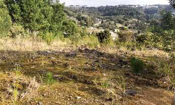 Imagem: CAXIAS DO SUL - Terreno Padrão - Ana Rech