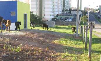 Imagem 3: ÁREA RESIDENCIAL, COMERCIAL EM SOROCABA - SP, PARQUE CAMPOLIM