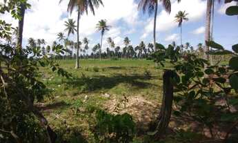 Imagem: Fazenda/Sítio/Chácara para venda tem 50000