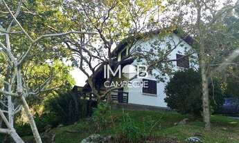 Imagem 5: Casa com 3 Dormitórios com Amplo Terreno de 10.000m2 - Pântano do Sul - Florianópolis SC