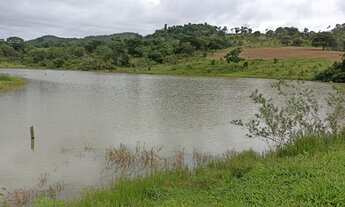 Imagem 5: Fazenda em Guaraita 50 alqueires
