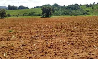 Imagem 3: FAZ.32 ALQUEIRES - PARA CAFÉ, GRÃOS OU PECUÁRIA