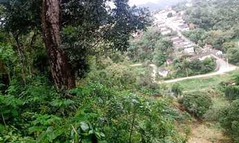 Imagem 3: Iporanga - Casa Padrão - Centro