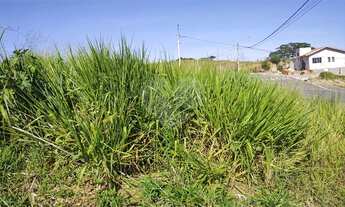 Imagem 2: São João da Boa Vista - Terreno Padrão - Loteamento Portal da Aliança