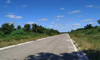 Imagem: Lote/Terreno para venda possui 78000 metros