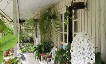 Imagem 5: LINDO SÍTIO COM A ÁREA DE 3 HECTARES EM ALFREDO WAGNER