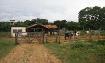 Imagem 7: Fazenda de 182 hectares na região de Curvelo