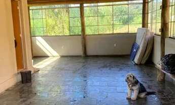 Imagem 5: Chácara a 40 minutos de bh