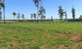 Imagem 2: Terreno à venda 475M², Parque dos Eucaliptos, Chapadão do Sul - MS