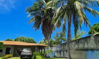 Imagem 4: Chácara no mosqueiro !