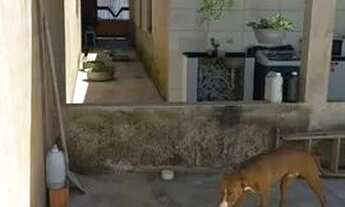 Imagem 2: Casa no boleto Casa com 3 dormitórios