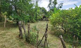 Imagem 6: Chacara 2alqueres em Alfredo marcondes