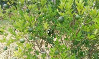 Imagem 5: Chácara com Terreno Excelente no Condomínio Enseada !!