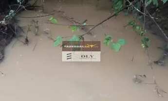 Imagem 7: Fazenda Extra em Mutunopolis-GO ! 45 alqueires toda formada!