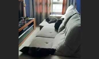 Imagem 2: Lindo Apartamento a 300 metros do Metro - 2 dorm. 1 vaga 249900,00