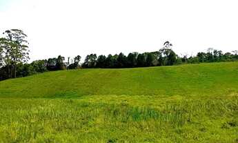 Imagem 4: Vendo terreno em Cotia