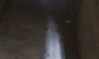 Imagem 4: Aluga-se um cômodo